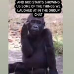 Taraji P. Henson Instagram - Goodnight 👀🏃🏾‍♂️💨😩🤣🤣🤣🤣🤣🤣🤣🤣🤣🤣🤣🤣🤣🤣🤣🤣🤣🤣🤣 #Repost from @irenebehave • That wasn’t me