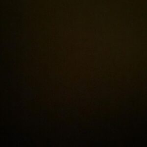 Taraneh Alidoosti Instagram - ‌
مدت‌ها با این خیال جنگیدم و نخواستم بپذیرم؛
ما شهروند نیستیم. هیچ‌وقت نبودیم. 
ما اسیریم، میلیون‌ها اسیر.
.
#آبان۹۸
#۱۷۶ 
#عزادار۱۷۶انسان 
#اسیریم
.
این پست را سه روز پیش گذاشته بودم و چند دقیقه پیش متوجه شدم که نیست. دوباره گذاشتم.