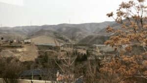 Taraneh Alidoosti Instagram - تولدت مبارک، بابای مهربونم 🌸