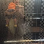 Taraneh Alidoosti Instagram - اینجور وقتها دوست دارم این آسانسور هیچوقت نرسه خونه. 🐣