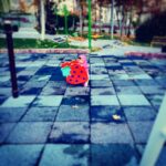 Taraneh Alidoosti Instagram - دربى پايتخت، بهترين فرصت براى گردش حنا و مامان. 😇🌺👼