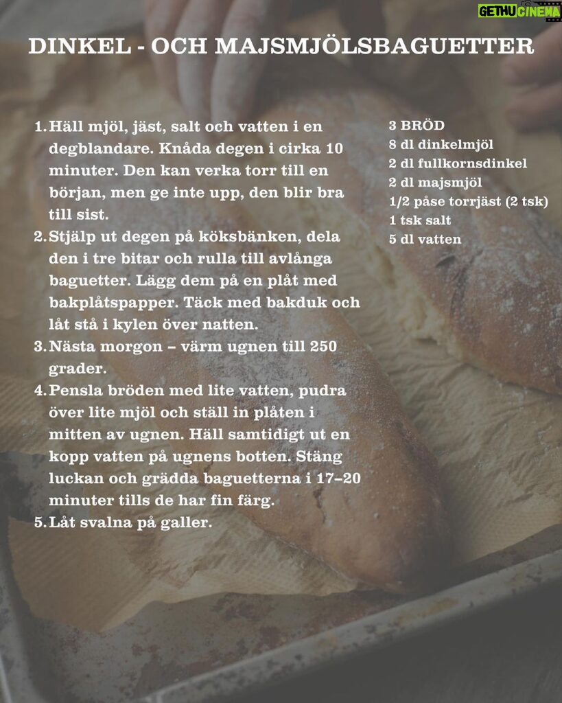 Tareq Taylor Instagram - VECKANS RECEPT ÄR TILLBAKA! 😍 Vi startar med något som passar lika bra på frukostbordet och som smarrigt tillbehör på kräftskivan - dinkel och majsmjölsbaugetter🦞 Majsmjölet ger både fin färg och god smak. Tips: ställ in en liten metallskål med vatten eller häll en halv dl på ugnens botten när du ställer in plåten. Ångan från vattnet ger bröden extra krisp och en fantastiskt skorpa. Har du inte dinkelmjöl går det lika bra med grahamsmjöl 🥖 📸: @fotografpetercarlsson