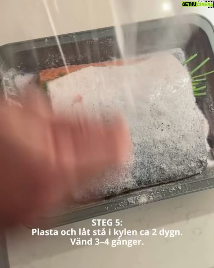 Tareq Taylor Instagram - Innehåller reklam för alkohol, endast för dig över 25 år   Enkelt och gott - Gravad lax med hovmästarsås! Följ stegen ovan för att sedan skämma bort nära och kära med denna underbara klassiker.  Jag väljer att matcha den gravade laxen med min Riesling som passar utmärkt med den feta fisken. ”Tareq Riesling” är ett friskt vitt vin med en smak av päron, honungsmelon, mineral samt vit stenfrukt som tillför fräschör till vinet. Finns på Systembolaget med artikelnummer 56304. Går även att beställa på deras hemsida om den inte finns i din lokala butik.