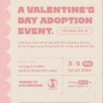 Taylor Hill Instagram - Meet your BFF like I did!! @salemtheblackgsd 🐾 I am so excited to host a Valentines Day adoption event next Saturday in New York from 3:00 to 5:00. Bring your pup for treats & lots of fun or come to meet your new soulmate, all thanks to our rescue partner @animalaidusa. Head to the link in my bio to RSVP! Can’t wait to see you there 💕 ** Disclaimer: Please note attending this event does not guarantee the adoption of an animal. Taylor Hill is partnering with Animal Aid USA, a 501c3 which has a team of receiving rescue partners who adopt animals out. Each receiving rescue partner has their own set of protocols and adoption fees.
