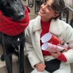 Taylor Hill Instagram - Salem and I are filling in for Cupid this Saturday at our Valentines Day adoption event! For more information & to RSVP, click the link in my bio 🥰💕🐾 New York, New York