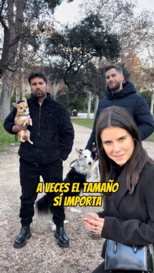 Teresa Pérez Instagram - A veces el tamaño SÍ importa #humor #perros