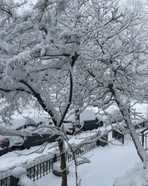 Teryl Rothery Instagram - Soooooo, this is Vancouver. Not something we usually see. 😳 How is it where you are?🥶