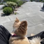 Teryl Rothery Instagram - Enjoying the day….💕 #gratitude #goodfriends