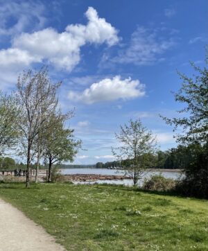 Teryl Rothery Instagram - Therapy for the eyes, which turns to therapy for the brain, which turns to therapy for the heart, which turns to therapy for the soul, which brings in pure gratitude. 🙏🏼💕

#joy #breath #peace #ease