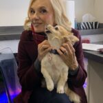 Teryl Rothery Instagram - Last minute “bring dog to set trailer day”. Dog sitter fell through. One very happy dog. 😃🐾😍