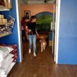 Thivya Naidu Instagram - My first training session with @foxxyshrubby @snowe.y for Ramarajan It was not easy because I don't own a pet.. I wouldn't have done it without my trainers @braveheartk9 @hiridas_suberminam @jhangri_official_page Special thanks to @nanthini61 @kabilanplondran @astroulagam Don't forget to watch Ramarajan today on Astro Vinmeen 231 at 9pm! Claws pet park
