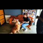 Thivya Naidu Instagram - My first training session with @foxxyshrubby @snowe.y for Ramarajan It was not easy because I don't own a pet.. I wouldn't have done it without my trainers @braveheartk9 @hiridas_suberminam @jhangri_official_page Special thanks to @nanthini61 @kabilanplondran @astroulagam Don't forget to watch Ramarajan today on Astro Vinmeen 231 at 9pm! Claws pet park