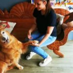 Thivya Naidu Instagram - My first training session with @foxxyshrubby @snowe.y for Ramarajan It was not easy because I don't own a pet.. I wouldn't have done it without my trainers @braveheartk9 @hiridas_suberminam @jhangri_official_page Special thanks to @nanthini61 @kabilanplondran @astroulagam Don't forget to watch Ramarajan today on Astro Vinmeen 231 at 9pm! Claws pet park
