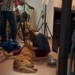 Thivya Naidu Instagram - I have been blessed that "Ramarajan" @foxxyshrubby have been a part of my life . One unique and special, leaving me with everlasting memories. During my emotional scenes he offered his love without judgment.. he lays on my lap.. On my feet.. Yes one cute adorable one.. It was tough at first to create the bond on screen but as days goes by and being with u for 30 days in that same house was a beautiful memory.. Evening walks Getting ur food done Pampering u The goodnights... ❤ Thanks @snowe.y for being there too.. ❤ We will meet again, never to be apart. Until then, thank you, Foxxy, @snowe.y for everything.. I love you more than you will ever know..always ❤ But what we should all remember is that each of us who has loved, and been loved, by an animal can't fail to feel blessed.. Special thanks to @hiridas_suberminam @clawspetpark @braveheartk9 @kabilanplondran @nanthini61 @astroulagam @jhangri_official_page Don't forget to watch Ramarajan premiering 2nd Nov onwards 9pm on Astro Vinmeen