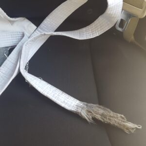 Thomas Beatie Instagram - Donc, je conduisais de l'Arizona à la Californie et j'ai entendu quelque chose claquer contre le côté de ma voiture. Les enfants, ce n'est pas ainsi que vous passez d'une ceinture blanche de taekwondo à une ceinture noire! 🥋😂 Driving from AZ to CA, I heard something flapping. Kids, this is not how you go from a taekwondo white belt to a black belt.
