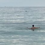 Thomas Beatie Instagram - Look at Amber trying to communicate with the wild dolphins! Well, I’m almost 100% sure that those are dolphins. 😱Regardez Amber essayant de communiquer avec les dauphins sauvages! Ah bon, je suis presque sûr à 100% que ce sont des dauphins. Okaloosa Island, Destin/Ft. Walton Beach