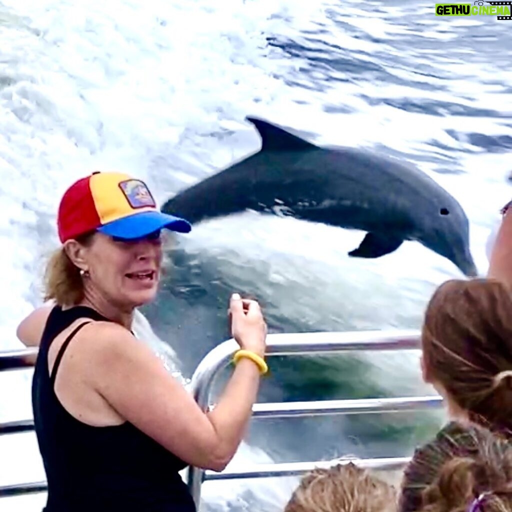 Thomas Beatie Instagram - Dolphins were following our boat! #AmbersDream ❤🐬 Les dauphins suivaient notre bateau!