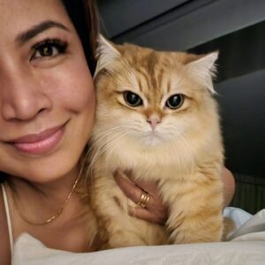 Tiara Jacquelina Instagram - My handsome, adorable baby Tangerine turned 1 today 😍

A year ago today, we returned from our anniversary celebration in Bangkok to discover that our cat Baby had given birth, a little earlier than we expected. She had 3 babies - Tangerine, his sister Oreo and another who sadly didn't make it 😪. Tangerine and Oreo are the youngest of the @tjsfurbies

Tangerine is so very affectionate, very much a Mama's boy and not ashamed to show it.