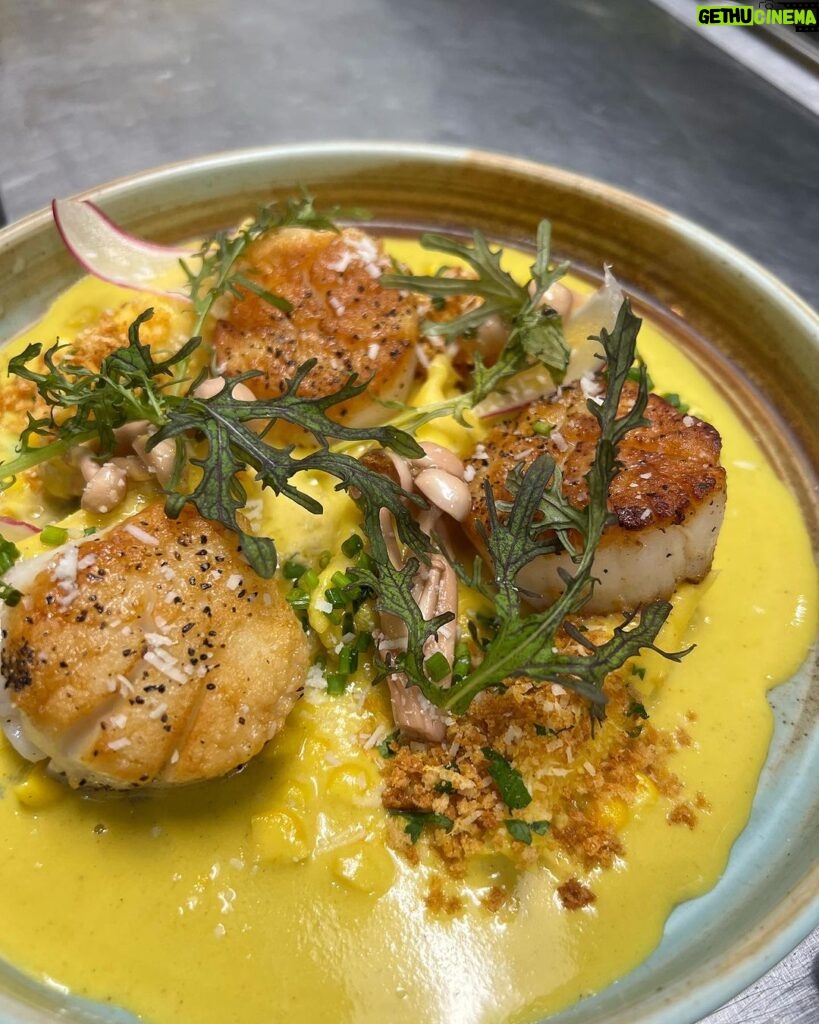 Tiffany Derry Instagram - Have you had our Scallops, ricotta ravioli, and corn curry?? Can we say Fiyah🔥🔥 Snag a reservation tonight at @rootssouthtable a few spots became available!!! Roots Southern Table