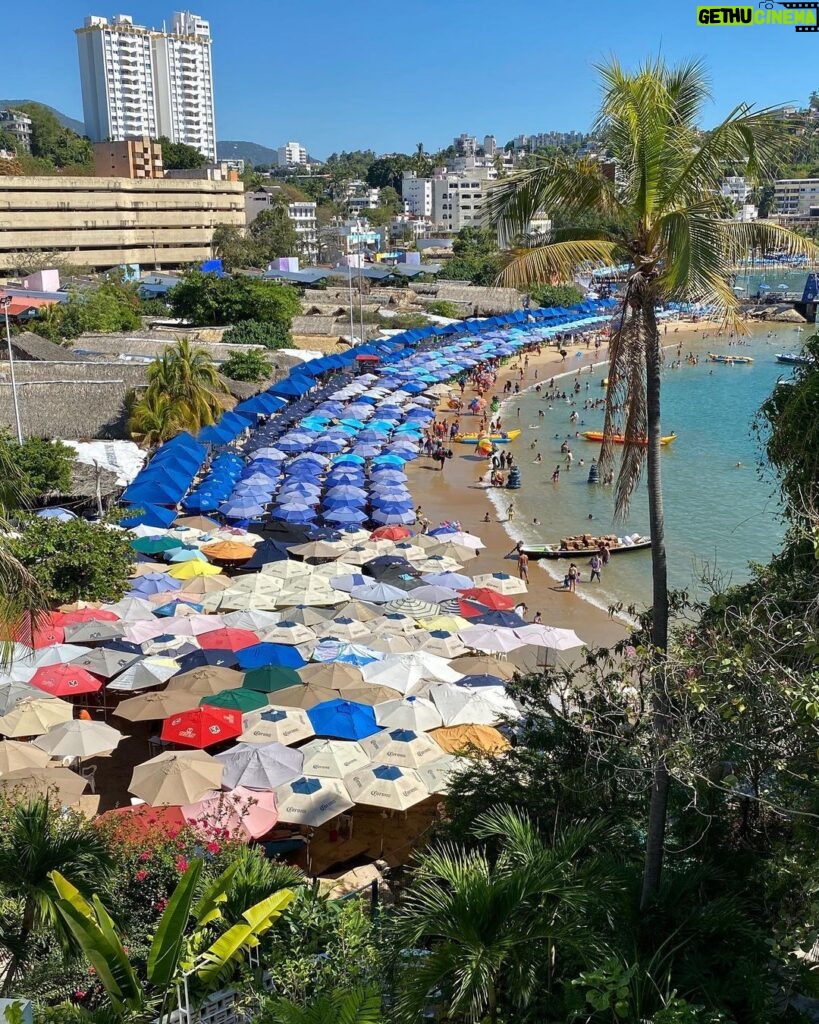 Tim Roth Instagram - So quiet here in Acapulco.