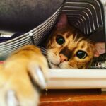 Tim Roth Instagram - Also. Helping out with the washing up.
