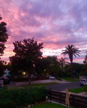 Timothy Omundson Instagram - #MadAboutMabel enjoys a nice sunset as much as the next person 💜🧡💓🩵 special thanks to @magslawslawson  for her editorial assist!