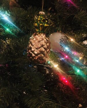 Timothy Omundson Instagram - May your holidays be filled with #DeliciousFlavor  and your favorite @psychpeacock episodes 🍍🎄💚💛