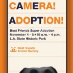 Timothy Omundson Instagram - LOOKING FOR LOVE⁉️ Who isn’t? ights! Camera! Adoption! @bestfriendsanimalsociety Super Adoption is back and it's happening this weekend‼️There will be hundreds of adorable, superstar dogs and cats from dozens of local shelters and rescue groups waiting to be discovered. Now's your chance to find the perfect pet to play a leading role in your life as your new best friend! It's a super, life-saving event not to be missed - this Saturday and Sunday, November 4 and 5 from 10am-4pm at Los Angeles State Historic Park, 1245 N. Spring Street, in the heart of L.A. To learn more, go to bfas.org/super #Nokill2025 #SaveThemAll #SuperAdoption#AdoptDontShop