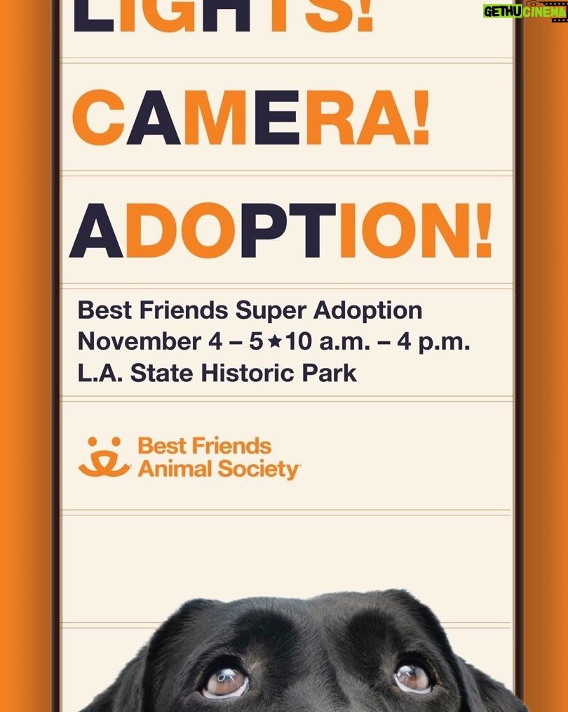 Timothy Omundson Instagram - LOOKING FOR LOVE⁉️ Who isn’t? ights! Camera! Adoption! @bestfriendsanimalsociety Super Adoption is back and it's happening this weekend‼️There will be hundreds of adorable, superstar dogs and cats from dozens of local shelters and rescue groups waiting to be discovered. Now's your chance to find the perfect pet to play a leading role in your life as your new best friend! It's a super, life-saving event not to be missed - this Saturday and Sunday, November 4 and 5 from 10am-4pm at Los Angeles State Historic Park, 1245 N. Spring Street, in the heart of L.A. To learn more, go to bfas.org/super #Nokill2025 #SaveThemAll #SuperAdoption#AdoptDontShop