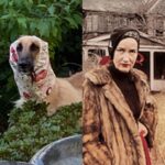 Timothy Simons Instagram - I knew I had seen my neighbors dog before.
