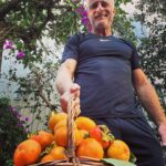 Timothy V. Murphy Instagram – My persimmon harvest!!!🍂🍂🍂🍑🍑🍑 #persimmon …any good recipes out there?