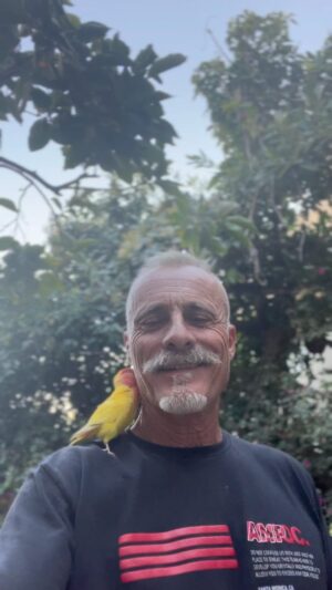 Timothy V. Murphy Instagram - Saint Francis of Assisi #saintfrancis @tonidivincenzo @caitlinamanley ☘️☘️☘️🦜🦜🦜 @ampassoc #pirate #parrots