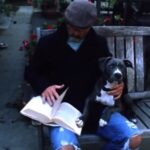 Timothy V. Murphy Instagram – I had to put G down this weekend.We had been the best of friends for about 13 years.This is one of the earliest videos of her.Such a great dog.I did this video with a friend of mine from Argentina,Enzo Bueno for his brothers band at the time.Lots of love to Enzo and Shiva for the video and lots of love for G ,my amazing,gentle pit bull  #pittbull @lospinguos #lapoeta @enzo9buono @shivaghodsi …adios amigo😍😍😍side story,Sean ,my son asked me who the boy in the video was.I told him it would have been him but he wasn’t born yet.He asked me what I was writing and I told him I was writing a wish down that I would have a son.Then he asked me why I looked sad in the video and I told him because he hadn’t arrived yet.He smiled.🥲🥲🥲😍😍😍