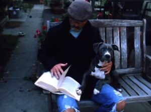 Timothy V. Murphy Instagram - I had to put G down this weekend.We had been the best of friends for about 13 years.This is one of the earliest videos of her.Such a great dog.I did this video with a friend of mine from Argentina,Enzo Bueno for his brothers band at the time.Lots of love to Enzo and Shiva for the video and lots of love for G ,my amazing,gentle pit bull  #pittbull @lospinguos #lapoeta @enzo9buono @shivaghodsi ...adios amigo😍😍😍side story,Sean ,my son asked me who the boy in the video was.I told him it would have been him but he wasn't born yet.He asked me what I was writing and I told him I was writing a wish down that I would have a son.Then he asked me why I looked sad in the video and I told him because he hadn't arrived yet.He smiled.🥲🥲🥲😍😍😍