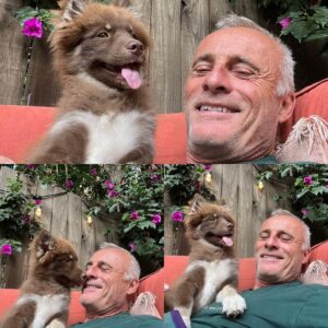 Timothy V. Murphy Instagram - My cute dog @tobemiro @thecjperry