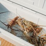 Tom Brady Instagram - I did Michigan and Massachusetts winters for a long time. Let me have this 😂🦞☀️