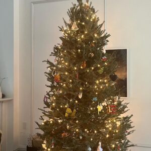 Tom Colicchio Instagram - I don’t understand my Hoomans. I’m not allowed to bring one stick in the house but my daddy can bring in a whole tree. @verytikigirl #flattieoftheday #flattiesofinstagram
