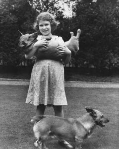 Tom Felton Instagram - Thank you for your example, duty to service & love of animals. Im extremely proud to call myself British. Thank you ma’am - rest well xx