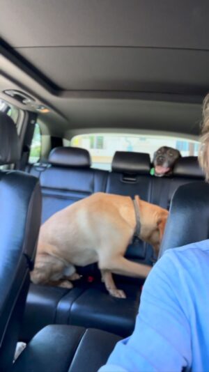 Tom Felton Instagram - 