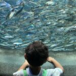 Toman Instagram – .
ポットデスがお茶を淹れてくれるのかわいすぎた🫖🥤
A blissful moment with my nephew.
.
.
#ポケモンカフェ #サンシャイン水族館 サンシャイン水族館-Sunshine Aquarium