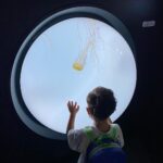 Toman Instagram – .
ポットデスがお茶を淹れてくれるのかわいすぎた🫖🥤
A blissful moment with my nephew.
.
.
#ポケモンカフェ #サンシャイン水族館 サンシャイン水族館-Sunshine Aquarium