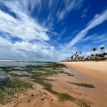 Tomaz Viana Instagram - Aquele clima de verão, um pouco de férias e um pouco de trabalho 💙🫶🏻 Vilas Do Atlantico - Bahia