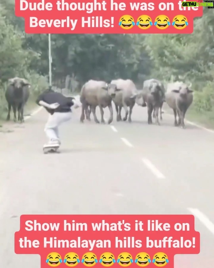 Tony Hawk Instagram - Friday fun: 1) Bolivian girls celebrate their Independence Day in the best possible way (via @imillaskate) 2) THPS… hiking edition? (via chiefgyk3d TikTok) 3) Buffalo stance vs buffalo herd (via @pranalchavan_) 4) @reese__nelson blasting over my fs ng. “Get ready for greatness, Reese”