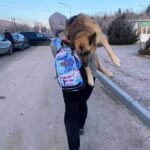 Trevor Donovan Instagram - #Ukrainian woman carried her old dog for more than 10 miles to cross the border. The depth of human courage and the forms it takes in war continue to amaze me.