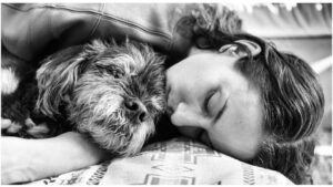Troian Bellisario Instagram - 17 years and still not long enough. 

Charlie (Charleston Zappa) welcomed me into a life with @patrickjadams . I was the new girl, he tolerated me. And though I had dogs before, Charlie was the one that grew me up. He was our first kid. The first one to teach me it wasn’t just about me. It was about the family. Feed me, walk me, love me. Put yourself aside. And it was the most incredible lesson. 

Charlie you made us parents, you were there through everything. The honeymoon phase, moving in together, 7 years of long distance, the ups, the downs, the rattlesnakes, the coyotes, the surgeries, the long days and nights on sets, the long periods of unemployment, the first house, our engagement, your sister Bea coming home, our adventures, our marriage, the birth of our children, their cries, their giggles, them pulling at your ears and tail, our first van trip across the country, our first summer at the cottage. You stayed through it all and left us some gnarly farts. You loved us through every moment. You were a rock and you made us the family we are today. You were a great teacher. And now. You are teaching us to say goodbye. With grace, with love, still softly whispering… it’s not just about you. It’s about the love you share in this brief, beautiful breath of life. I miss you already. I know this is only a new beginning of a life on the other side of you. But my heart is filled with your love, your lessons, and always, always it will always carry your memory.

Sleep sweet my love, enjoy all the best treats, catch all the frisbees, and run wild and free. We love you.