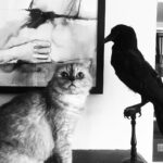 Tuppence Middleton Instagram - Leave. The Crow. Alone.