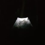 Tuppence Middleton Instagram - Wild camping 🖤🌜