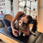 Tuvana Türkay Instagram - 🐶💜 tutar bu Maya😁 The Cove Pilates