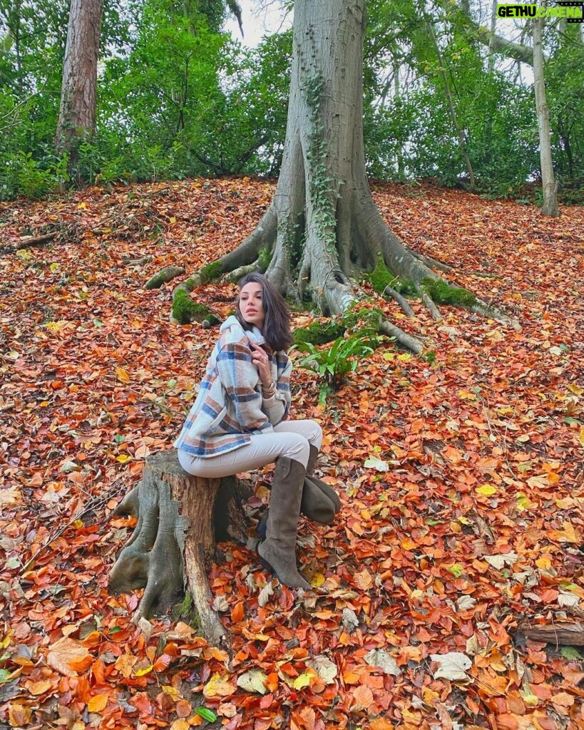 Tuvana Türkay Instagram - 🍁🍂 Wiltshire