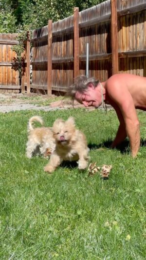 Ty Pennington Instagram - When everyone else is doing it…. 😵‍💫🤢 #missedmybabies 
.
.
.
.
#rescuedog #rescuedogs #rescuedogsofinstagram #mybabies #dogs #cute #cutedogs #puppy #adoptdontshop